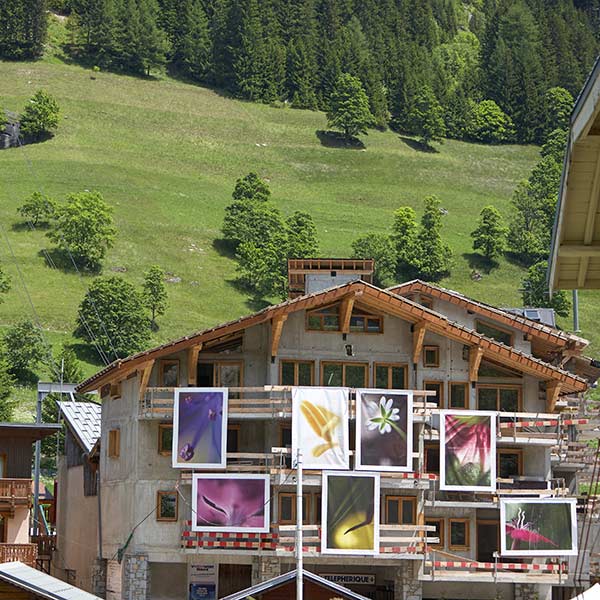 l'exposition “Apparaissance” au 3ème Festival International de photo de montagne et de nature, Pralognan-la-Vanoise