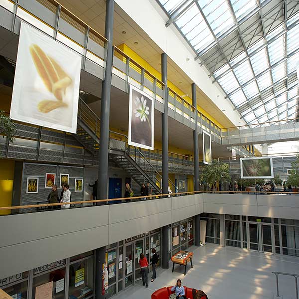 l'exposition “Infinitésimale” à la Faculté de Pharmacie de Reims