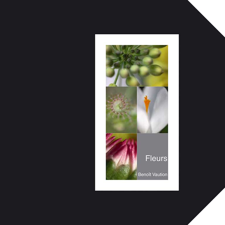 couverture du livre Fleurs